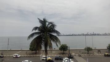 A coastal cityscape with a palm tree in the foreground, a road with parked cars, and a view of the sea and city skyline.
