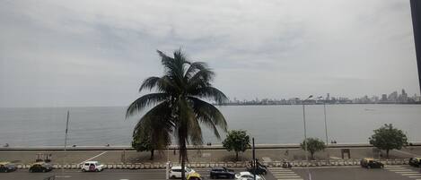 A coastal cityscape with a palm tree in the foreground, a road with parked cars, and a view of the sea and city skyline.