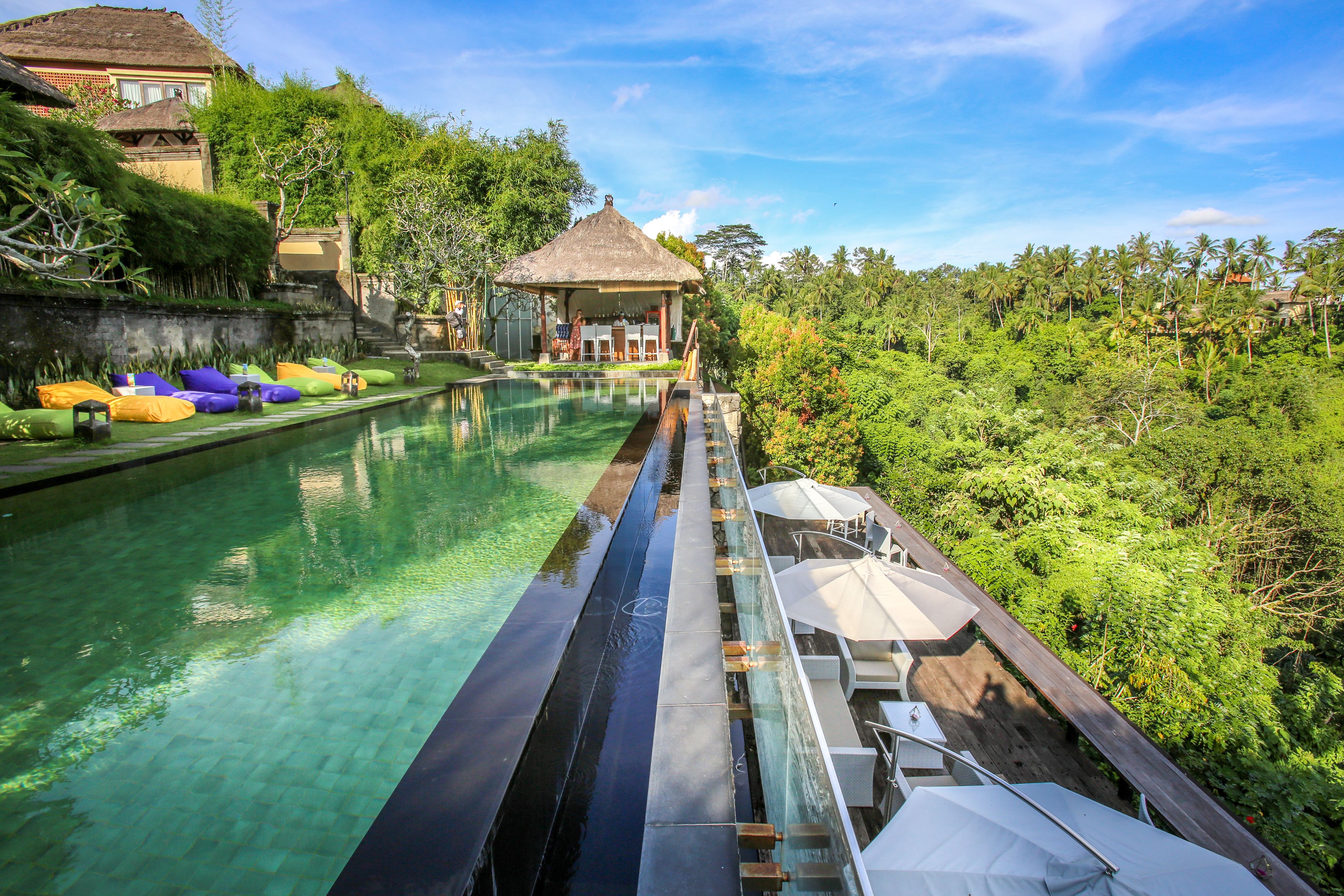 A pool with lounge chairs and umbrellas, surrounded by lush greenery and a thatched-roof structure.