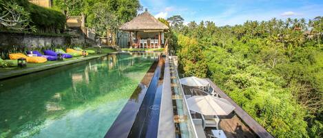 A pool with lounge chairs and umbrellas, surrounded by lush greenery and a thatched-roof structure.