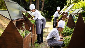Chefs tending to plants in a garden with metal planters and solar panels.
