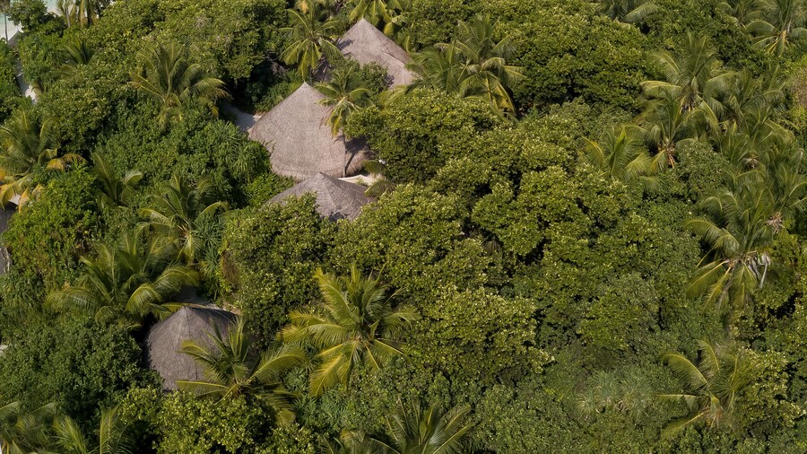 Coco Palm Dhuni Kolhu