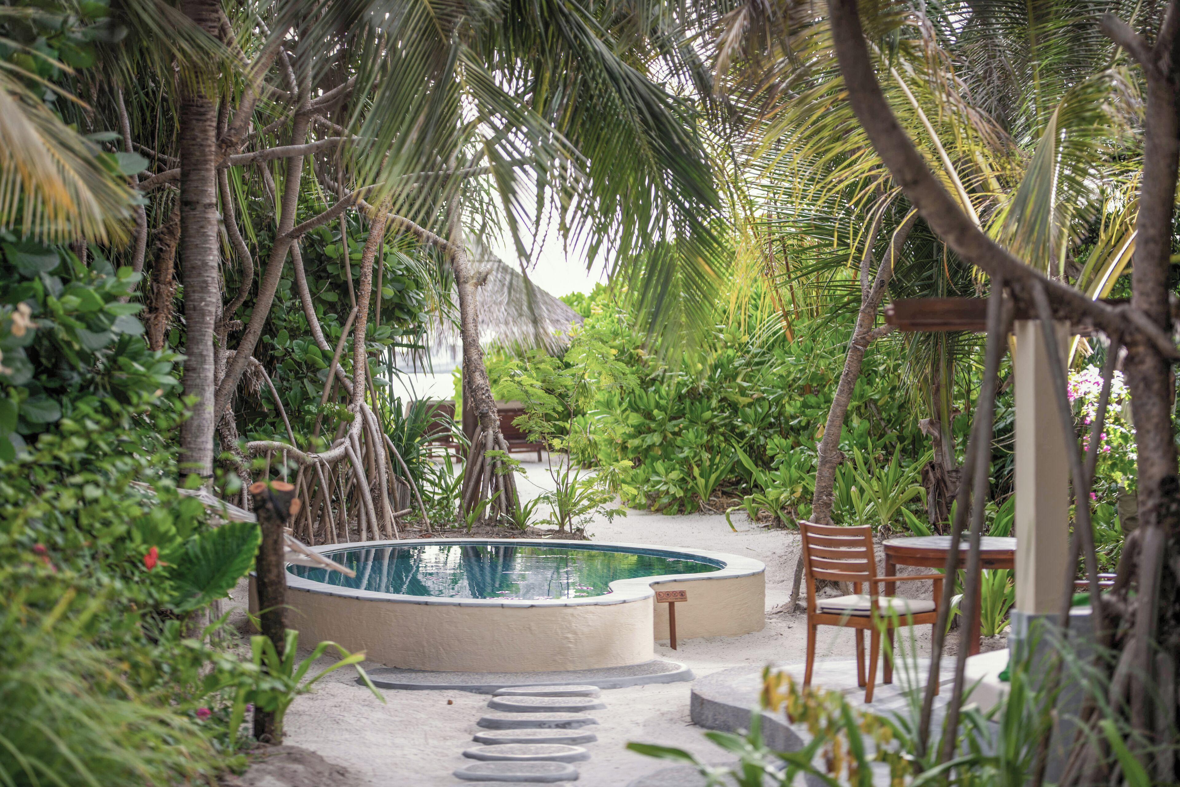 A circular swimming pool surrounded by lush greenery and a wooden deck with chairs.