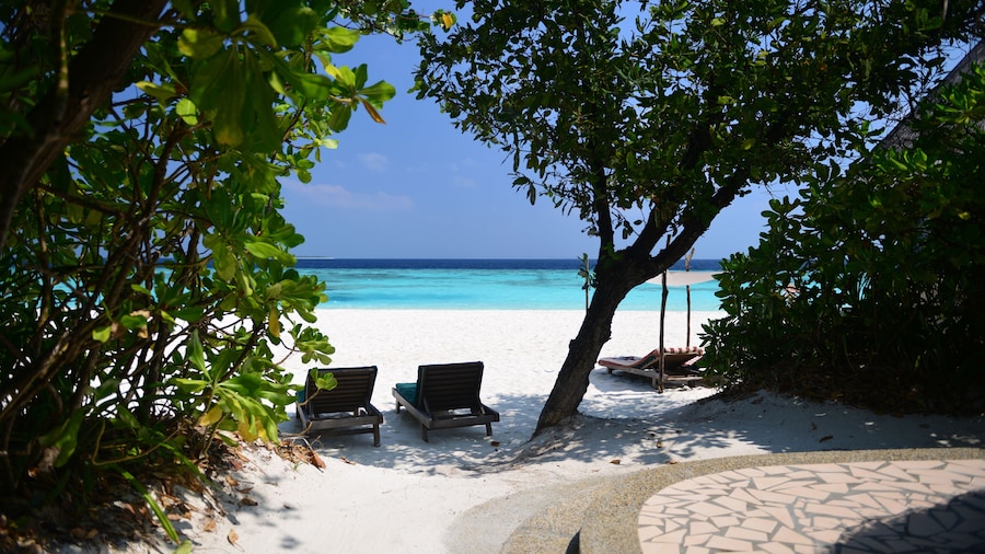 Coco Palm Dhuni Kolhu
