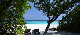 Coco Palm Dhuni Kolhu
