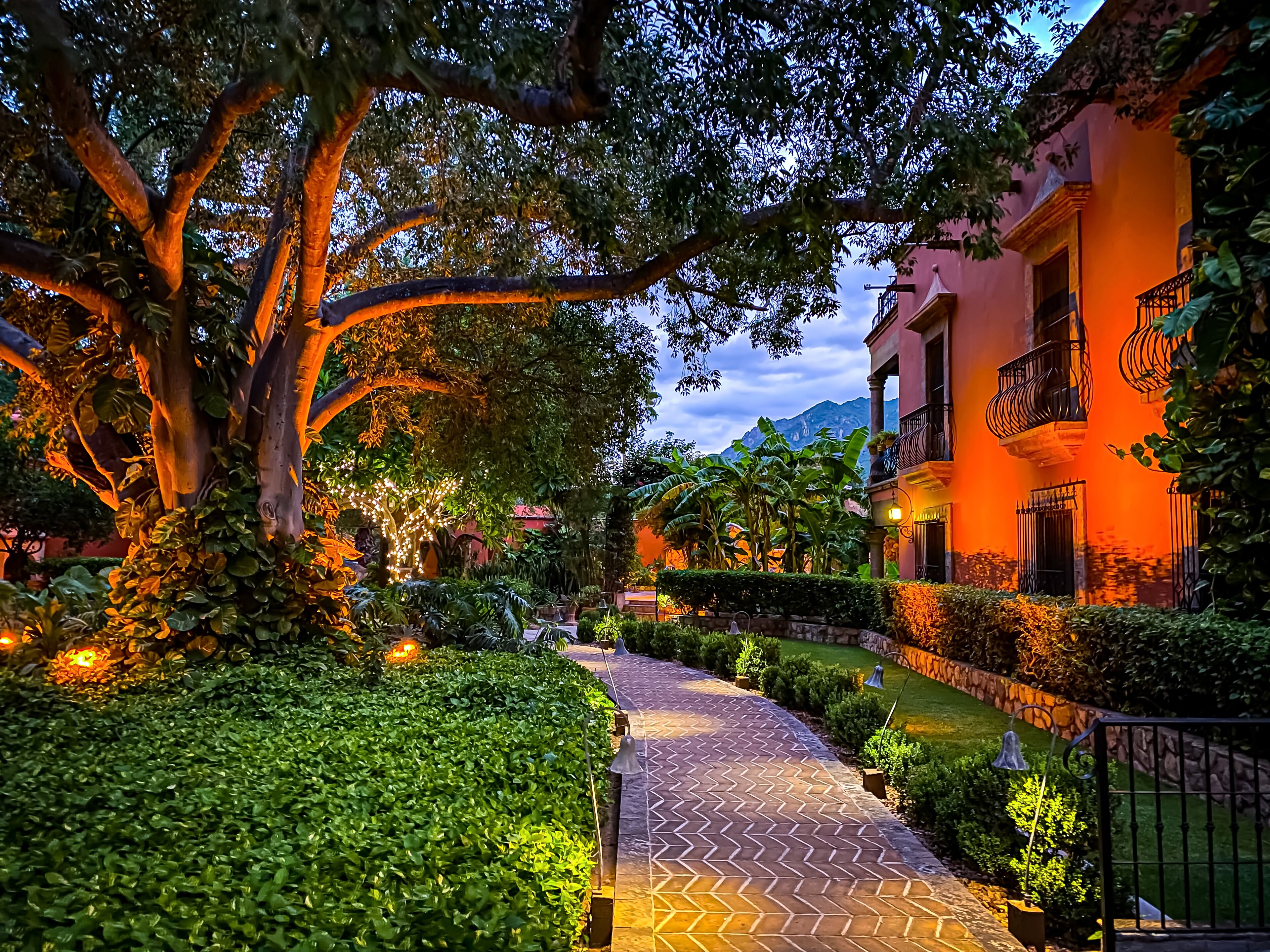 传统客房, 1 张特大床 (Hacienda Guest) | 露台