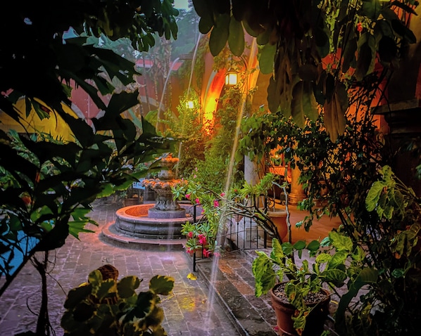 Jardín