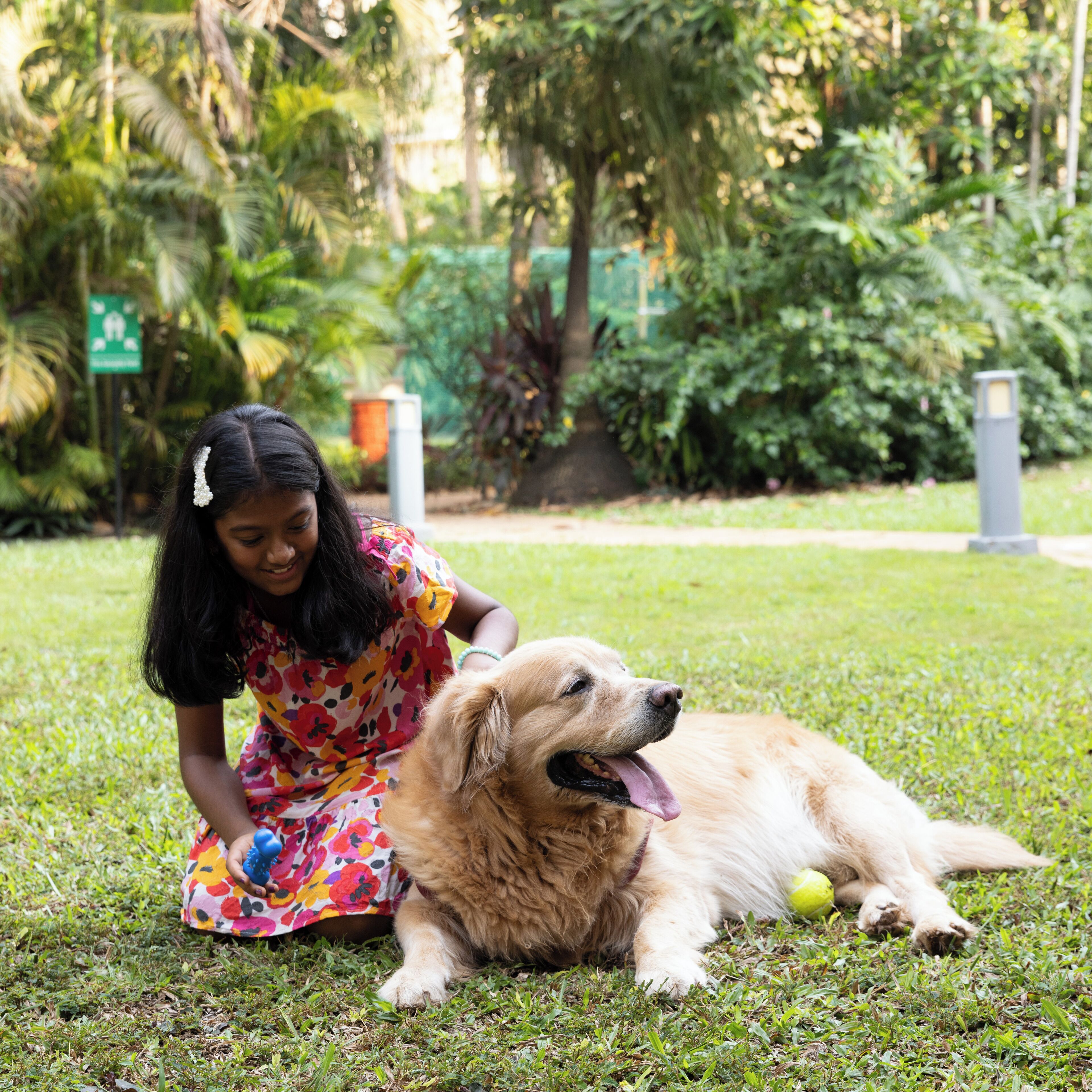 A child and a dog in a grassy outdoor area with greenery and a green sign in the background.