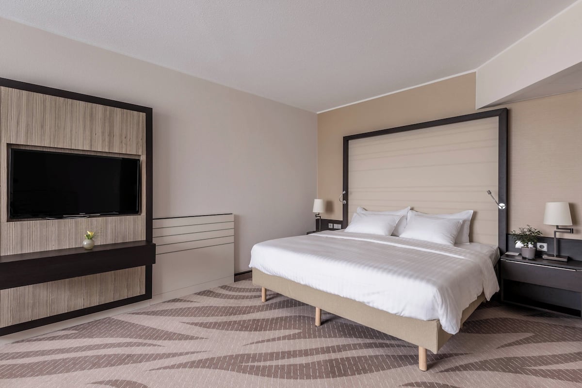 A modern hotel room with a large bed, a flat-screen TV mounted on the wall, a bedside table with a lamp, and a nightstand with a plant.