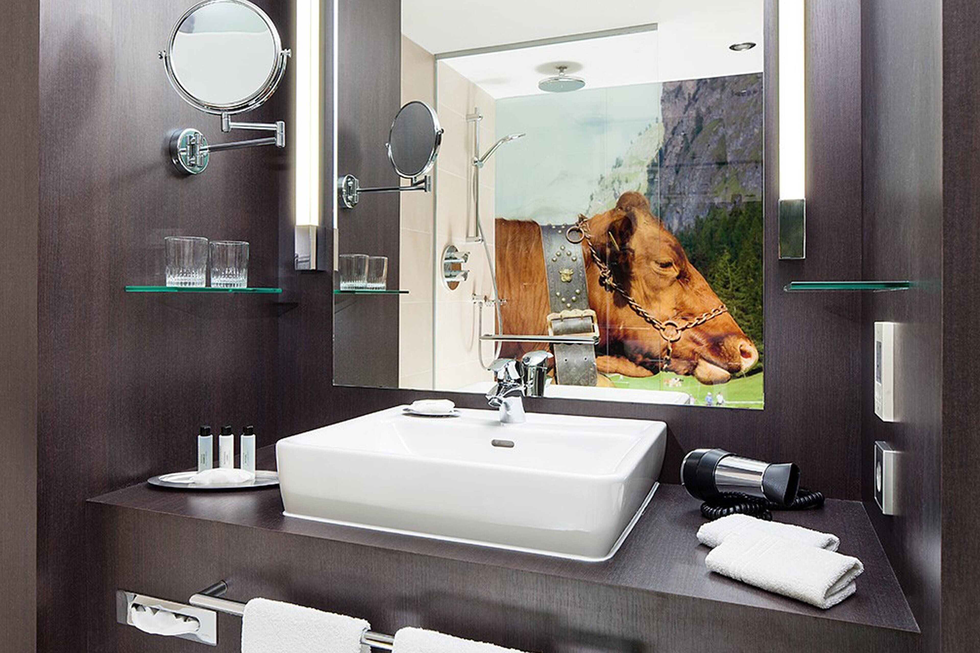 combined shower/bathtub, free toiletries, hair dryer, bathrobes