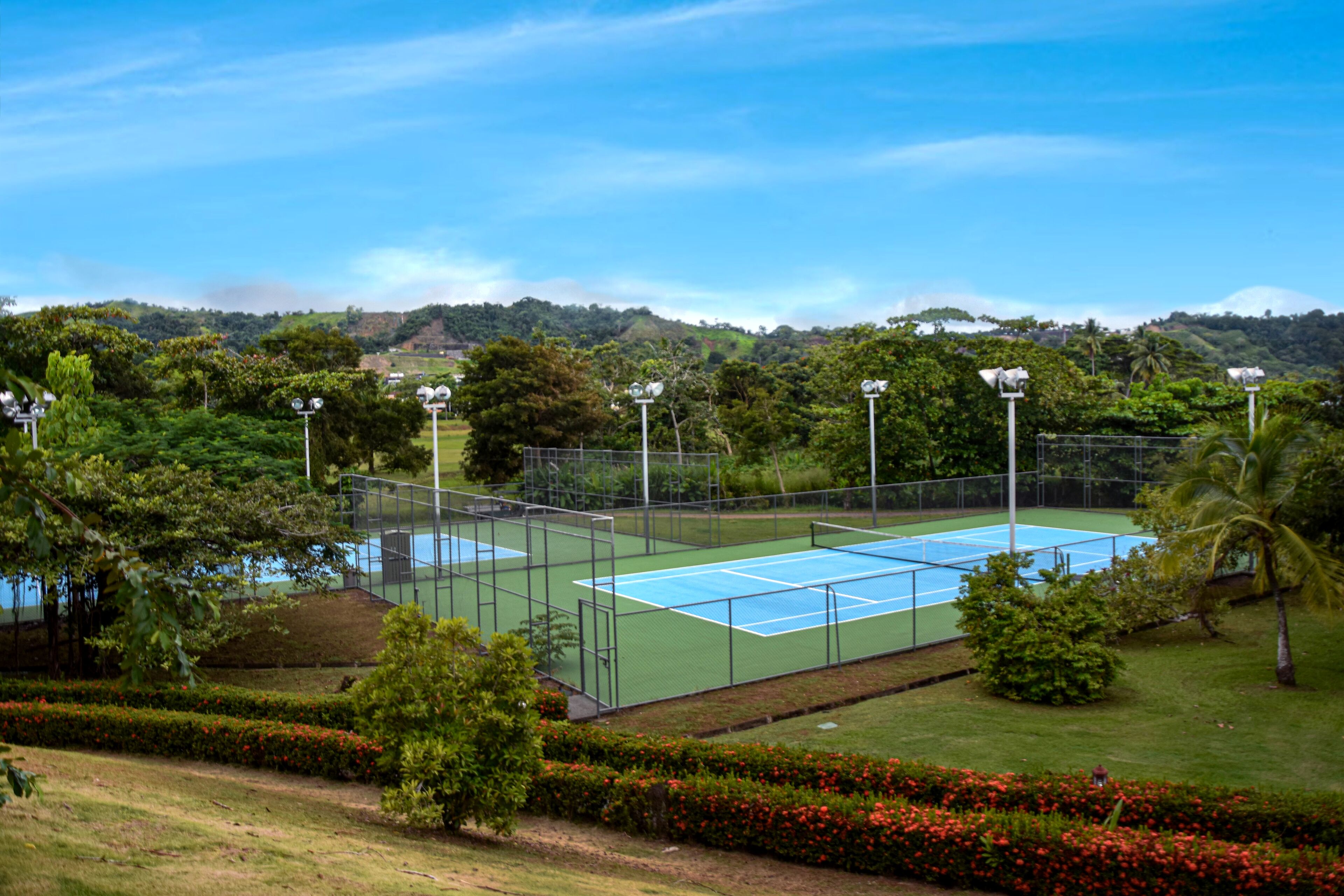 Una cancha de tenis al aire libre rodeada de vegetación y una valla.