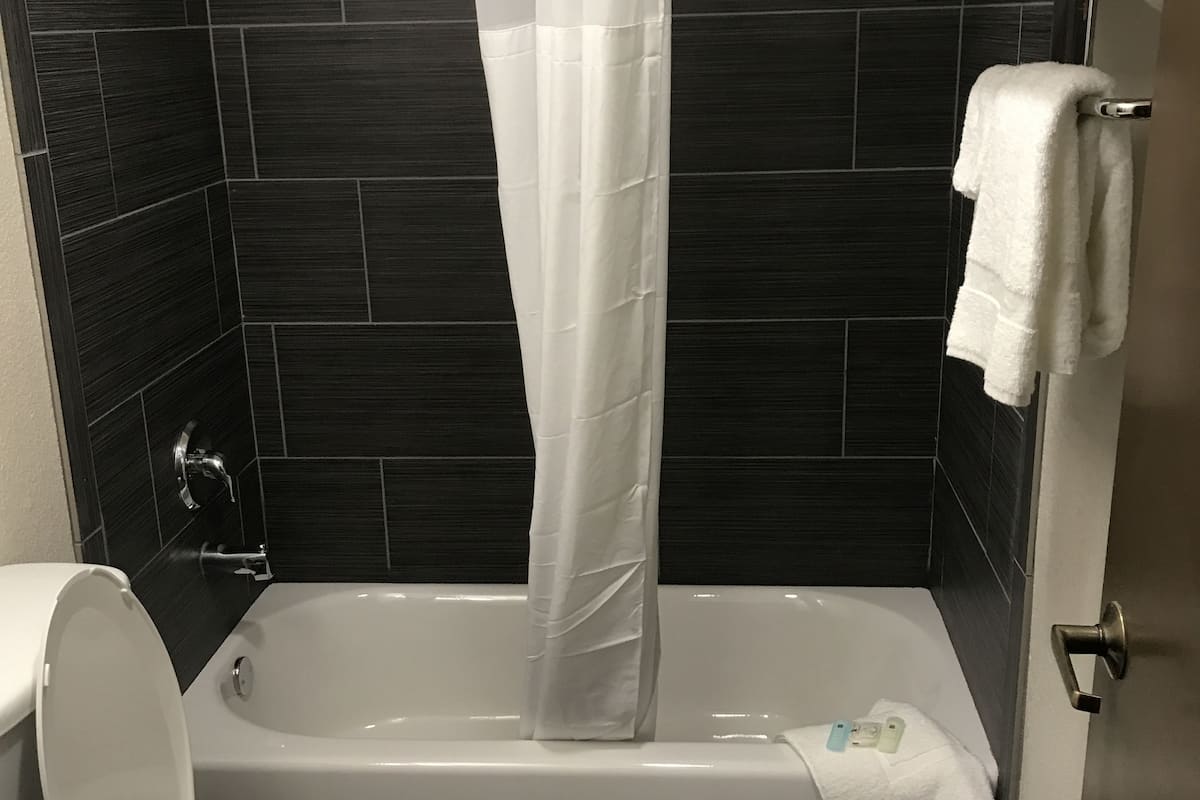 combined shower/bathtub, free toiletries, hair dryer, towels