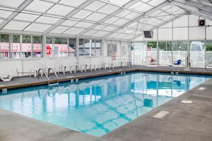 Indoor pool, sun loungers