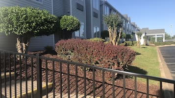 花園