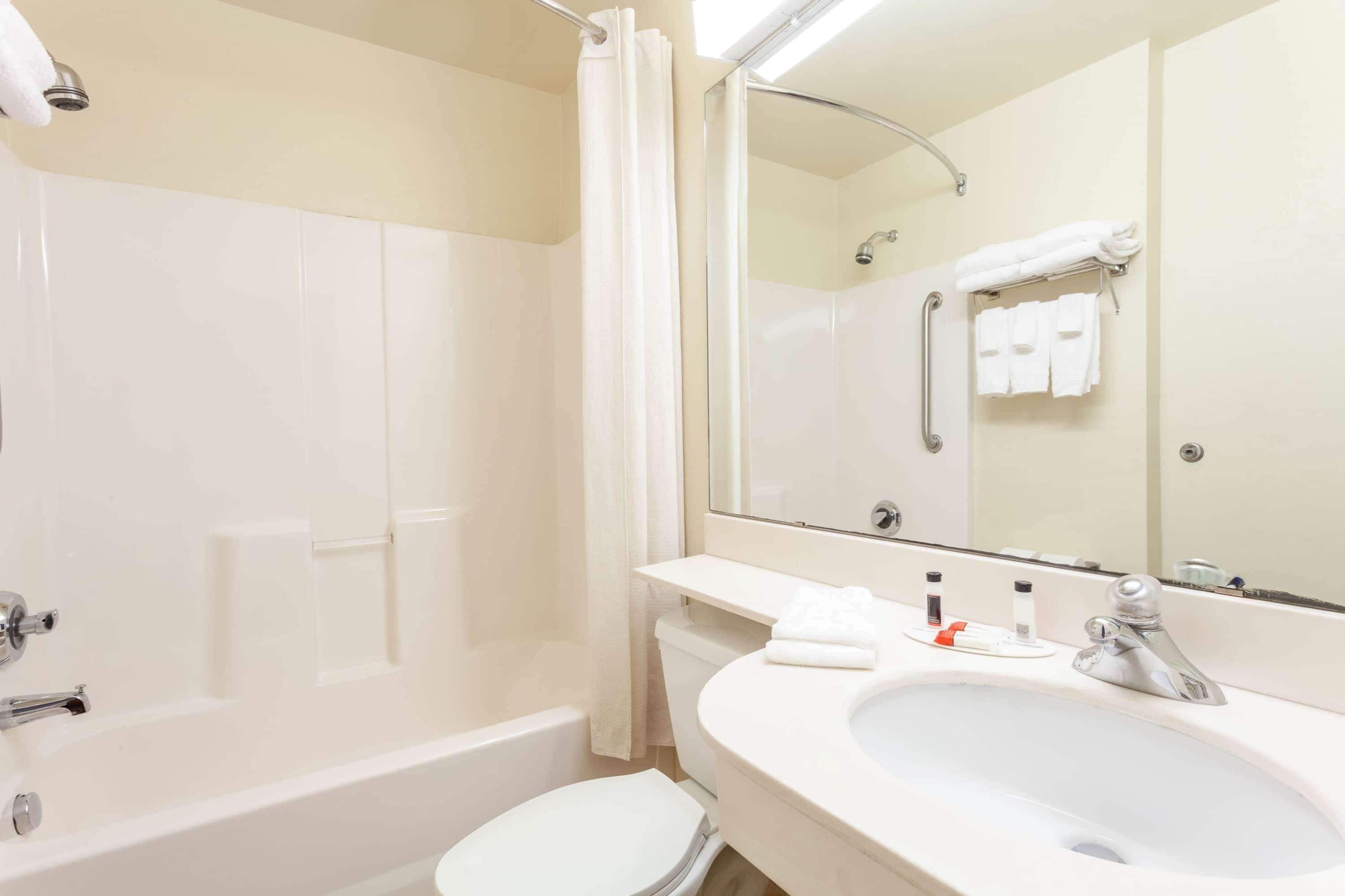Un baño con bañera, inodoro, lavamanos y un espejo grande.