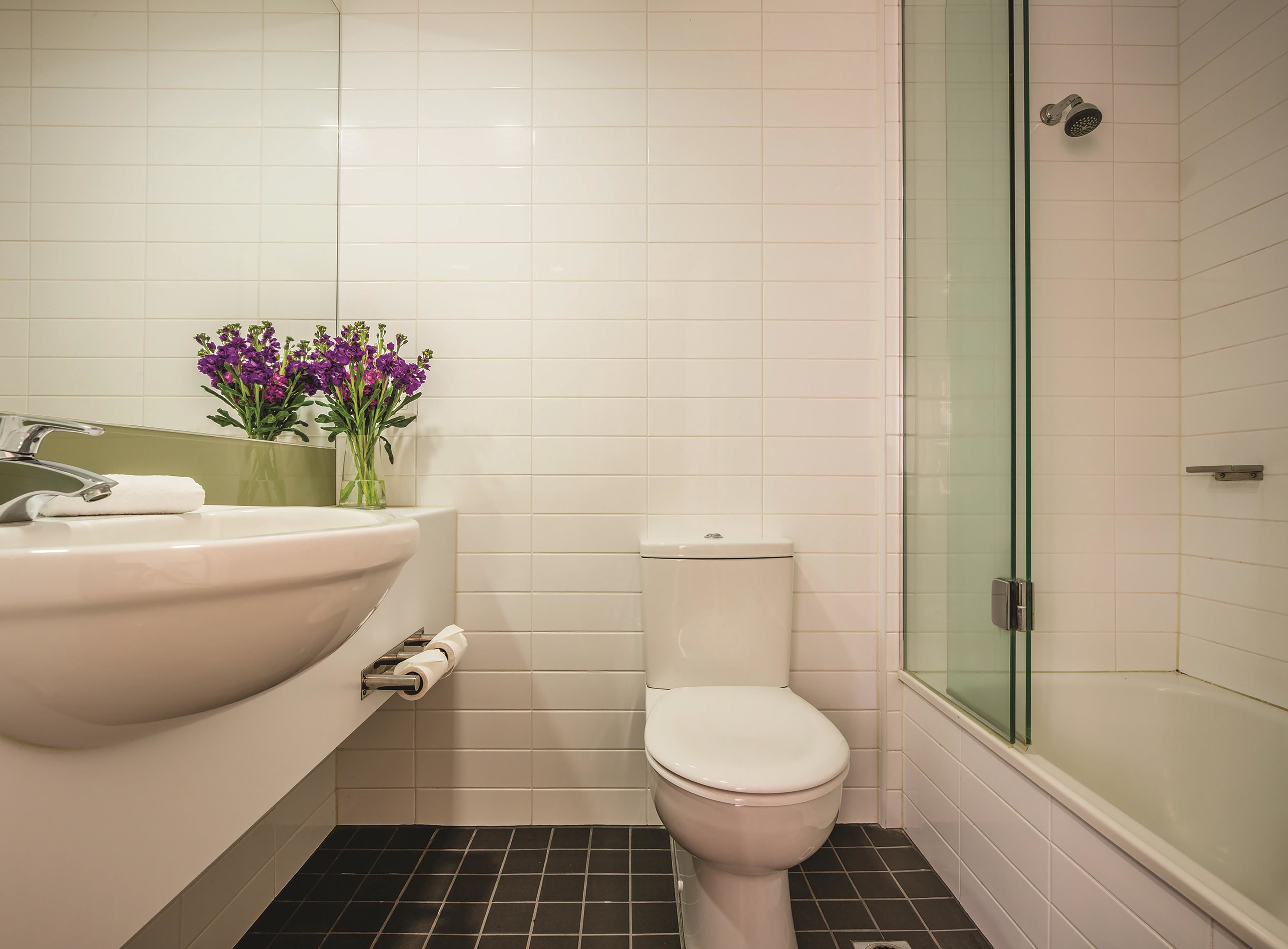 free toiletries, hair dryer, towels