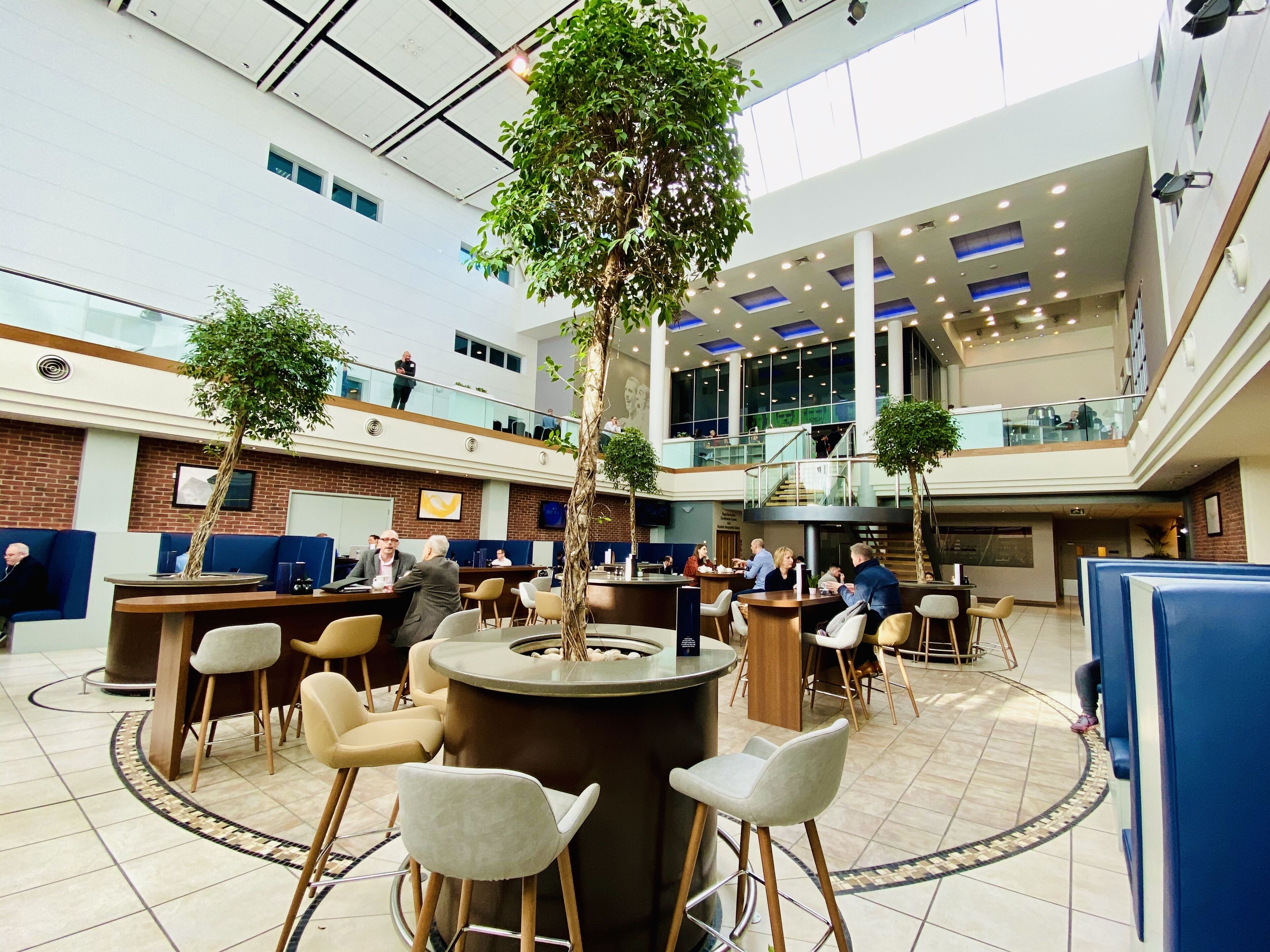 Ofrece almuerzos y cenas