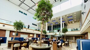 A spacious indoor area with multiple seating arrangements, including bar stools and high tables, surrounded by potted plants.