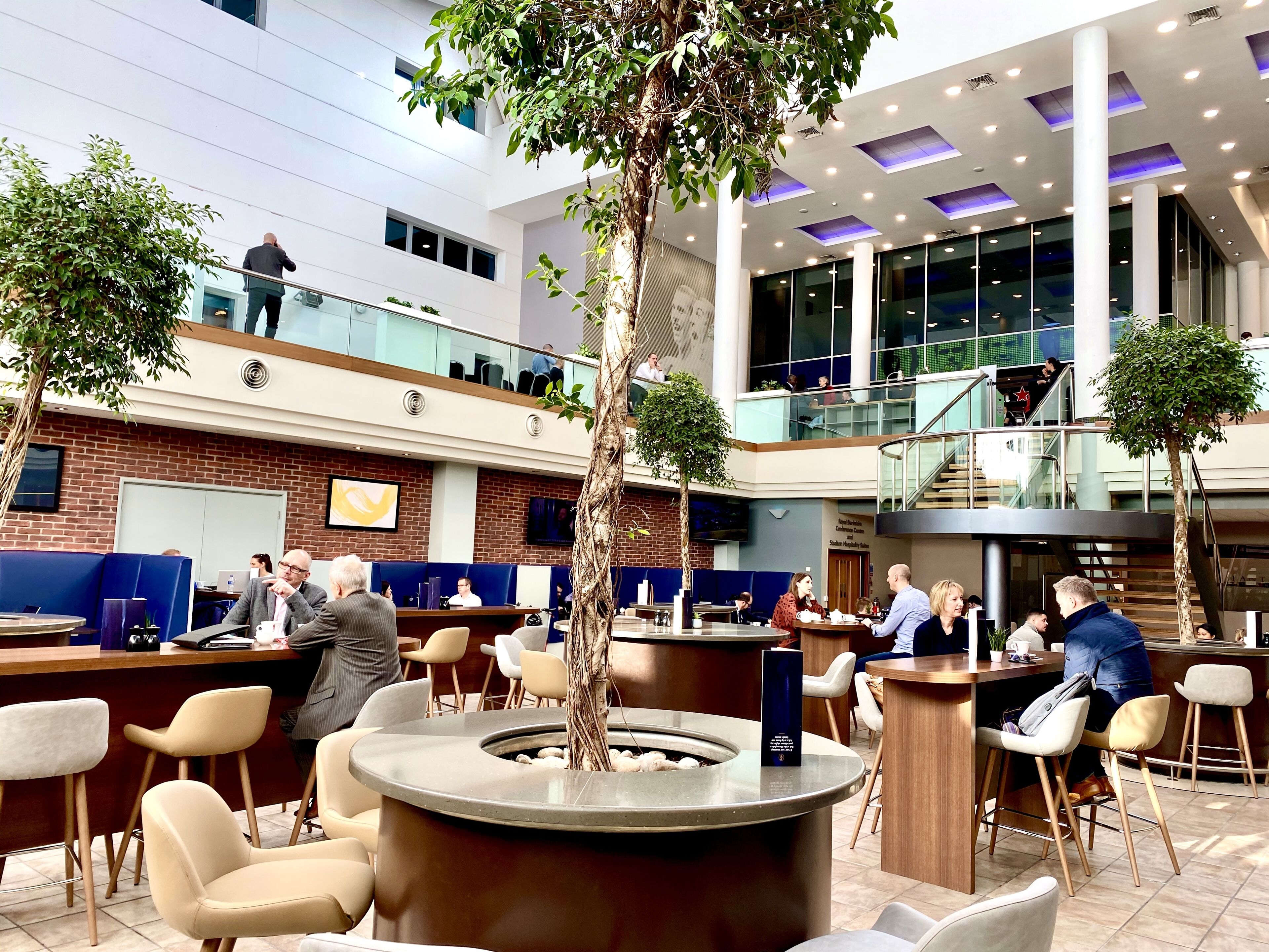 serves lunch and dinner