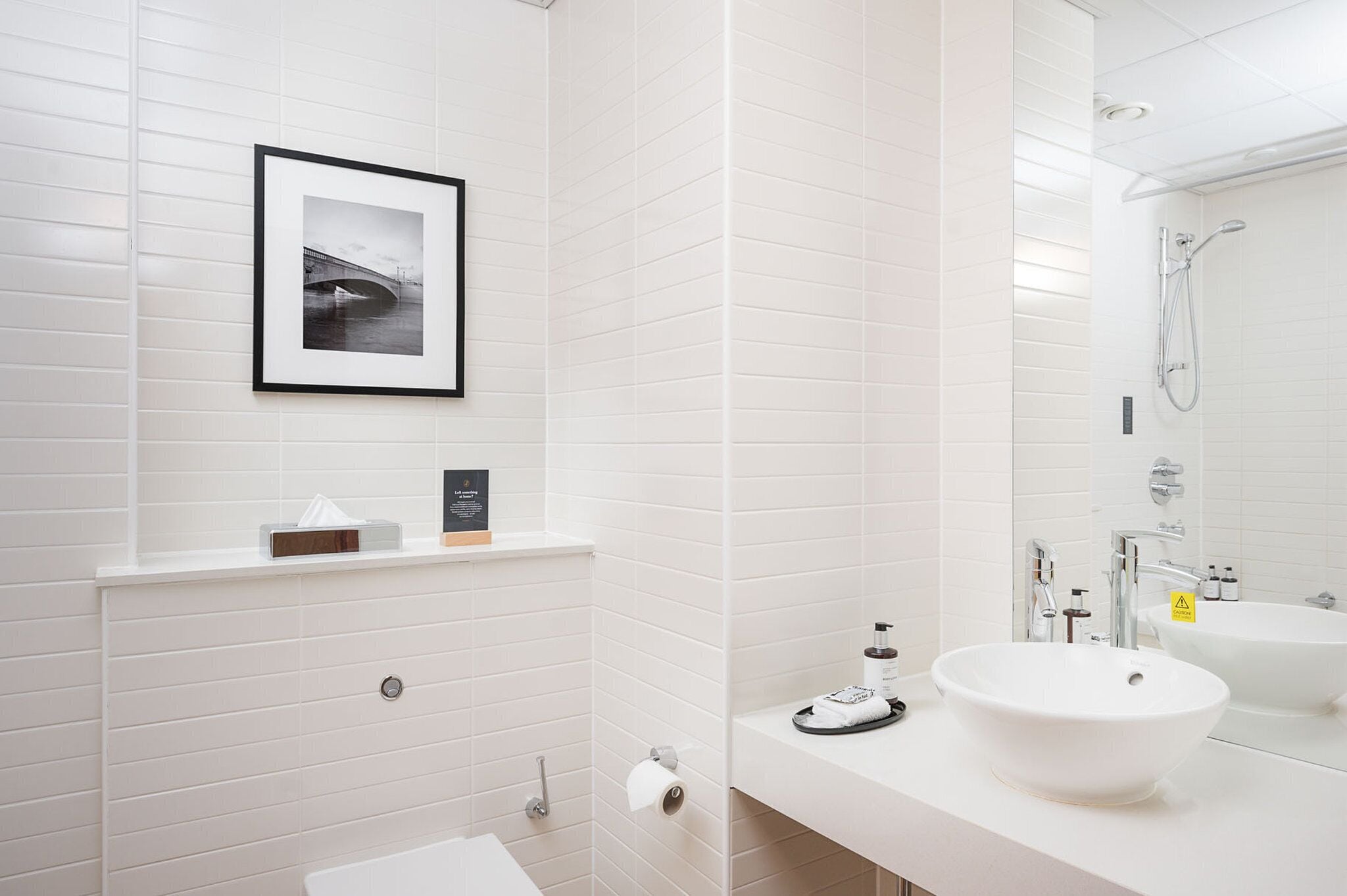 combined shower/bathtub, free toiletries, hair dryer, towels