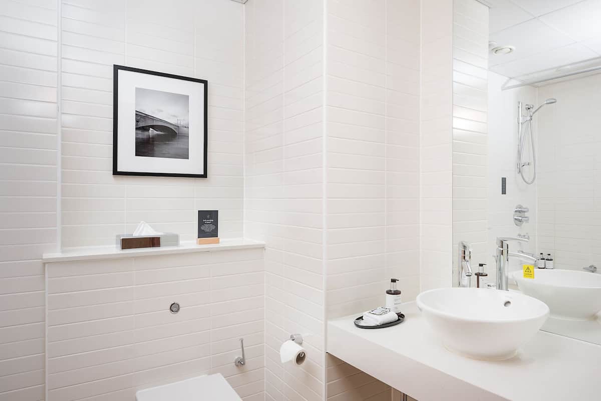 combined shower/bathtub, free toiletries, hair dryer, towels