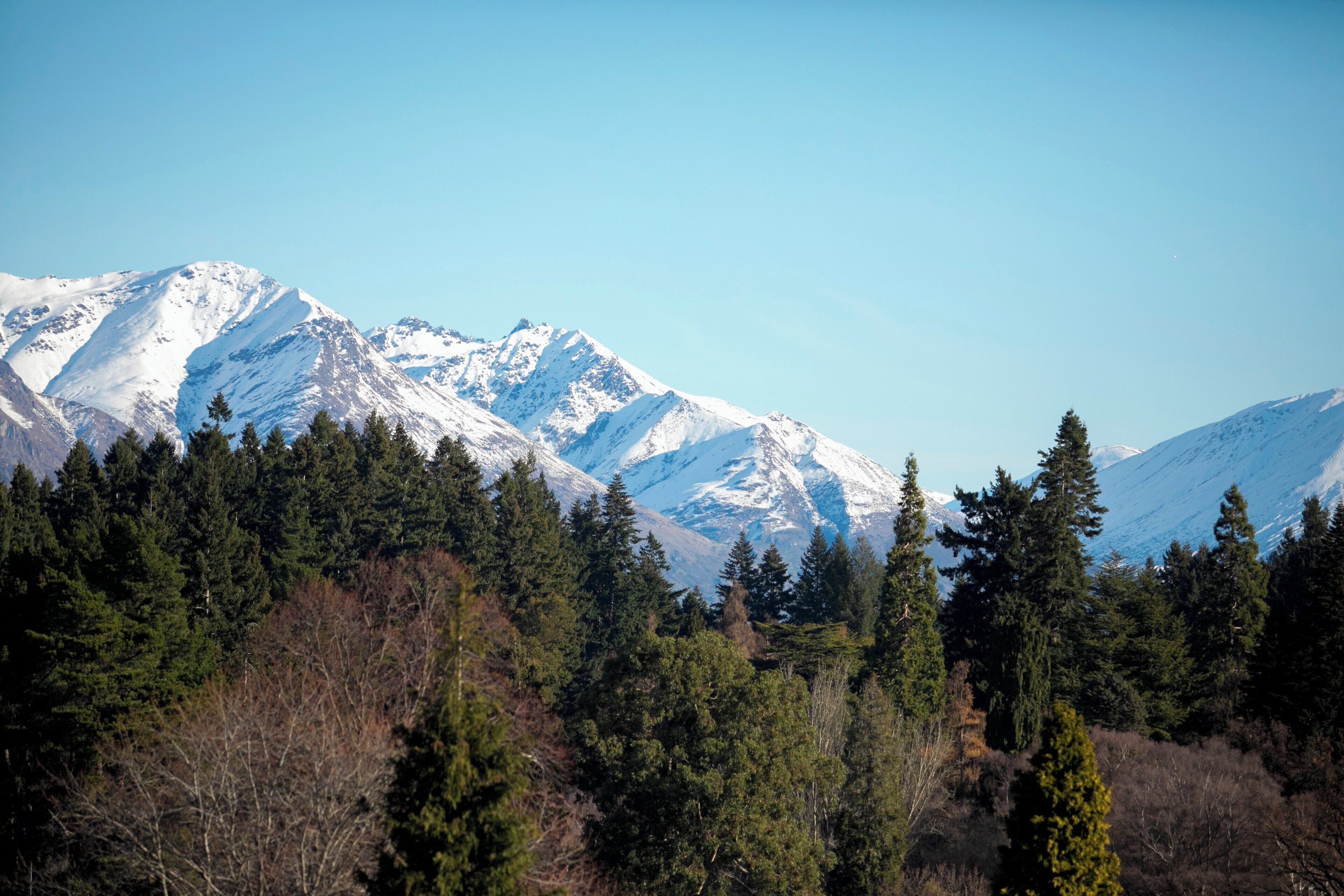 Photo - Copthorne Hotel and Resort Lakefront Queenstown