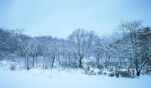 View from room - Niseko Northern Resort An'nupuri (Niseko)