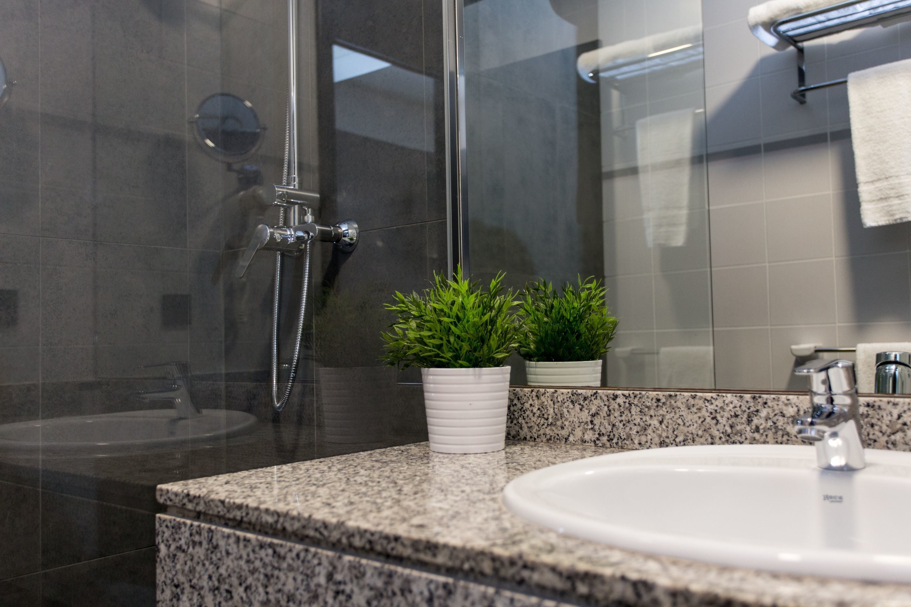 A modern bathroom with a glass-enclosed shower, a granite countertop, a white sink, and two potted plants.