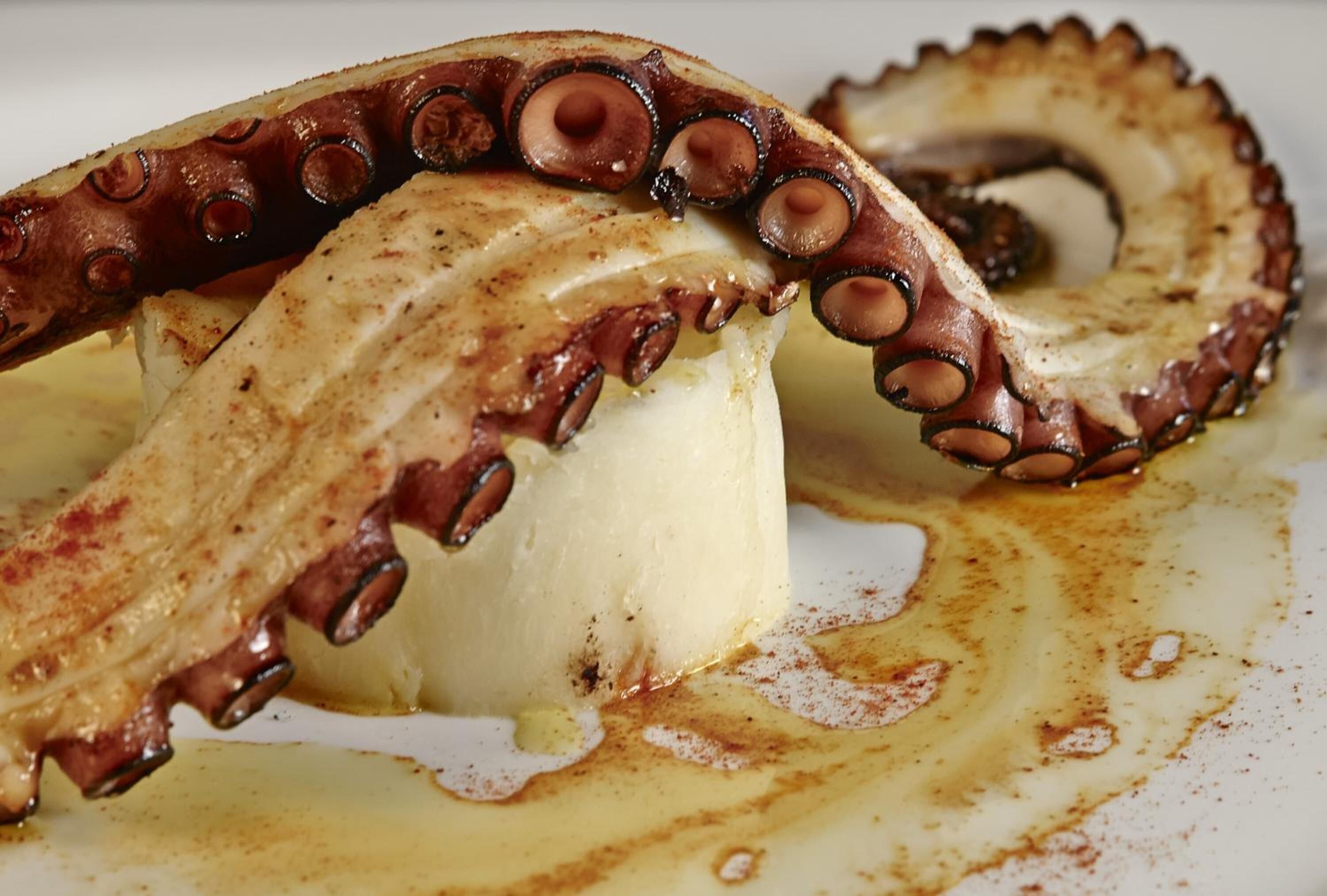 Primer plano de un pulpo cocido con tentáculos y una sustancia cremosa, posiblemente una salsa o puré, sobre un plato.