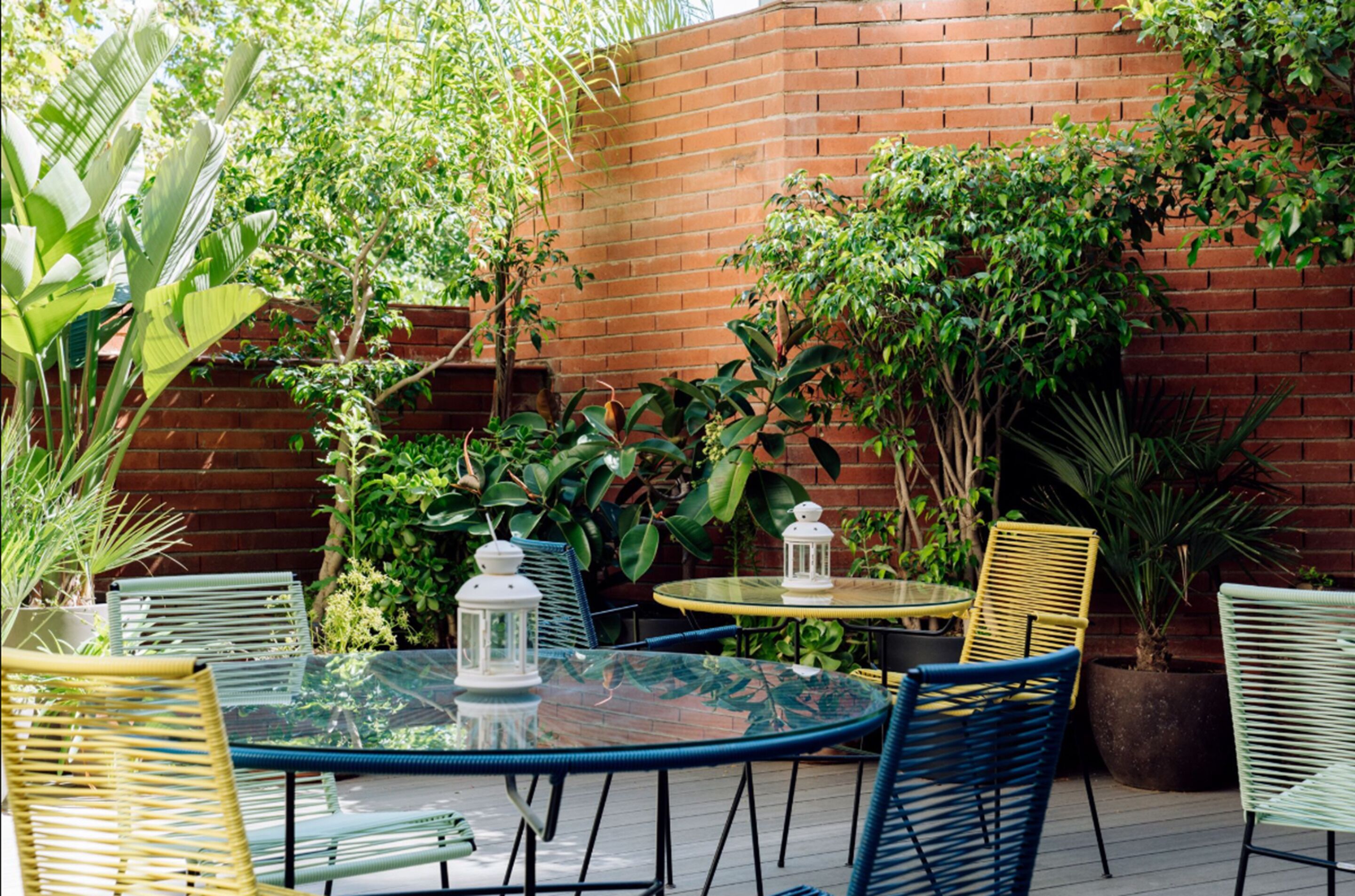 Foto - Chic & Basic Velvet