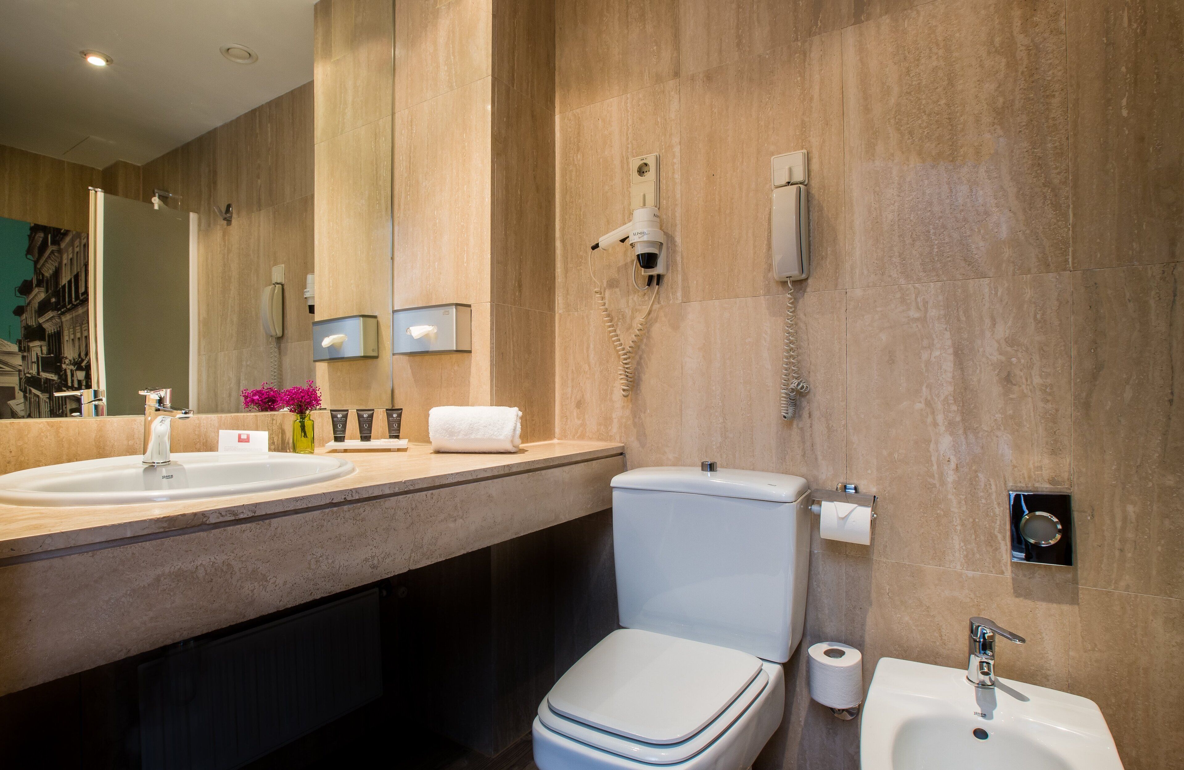 Secadora de cabello, bidet, toallas 