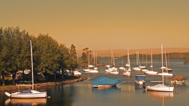 Un port de plaisance où de nombreux voiliers sont amarrés le long de la rive, entourés d’arbres et bordés par une eau calme.