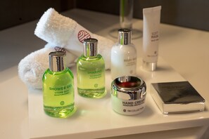 Eco-friendly toiletries, hair dryer, bathrobes, bidet