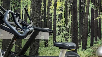 Una bicicleta estática con vista al bosque.