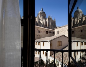 Superior Single | View from room