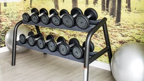 Ein Fitnessraum mit Wandgemälde eines Waldes, einer Hantelbank und Trainingsbällen.