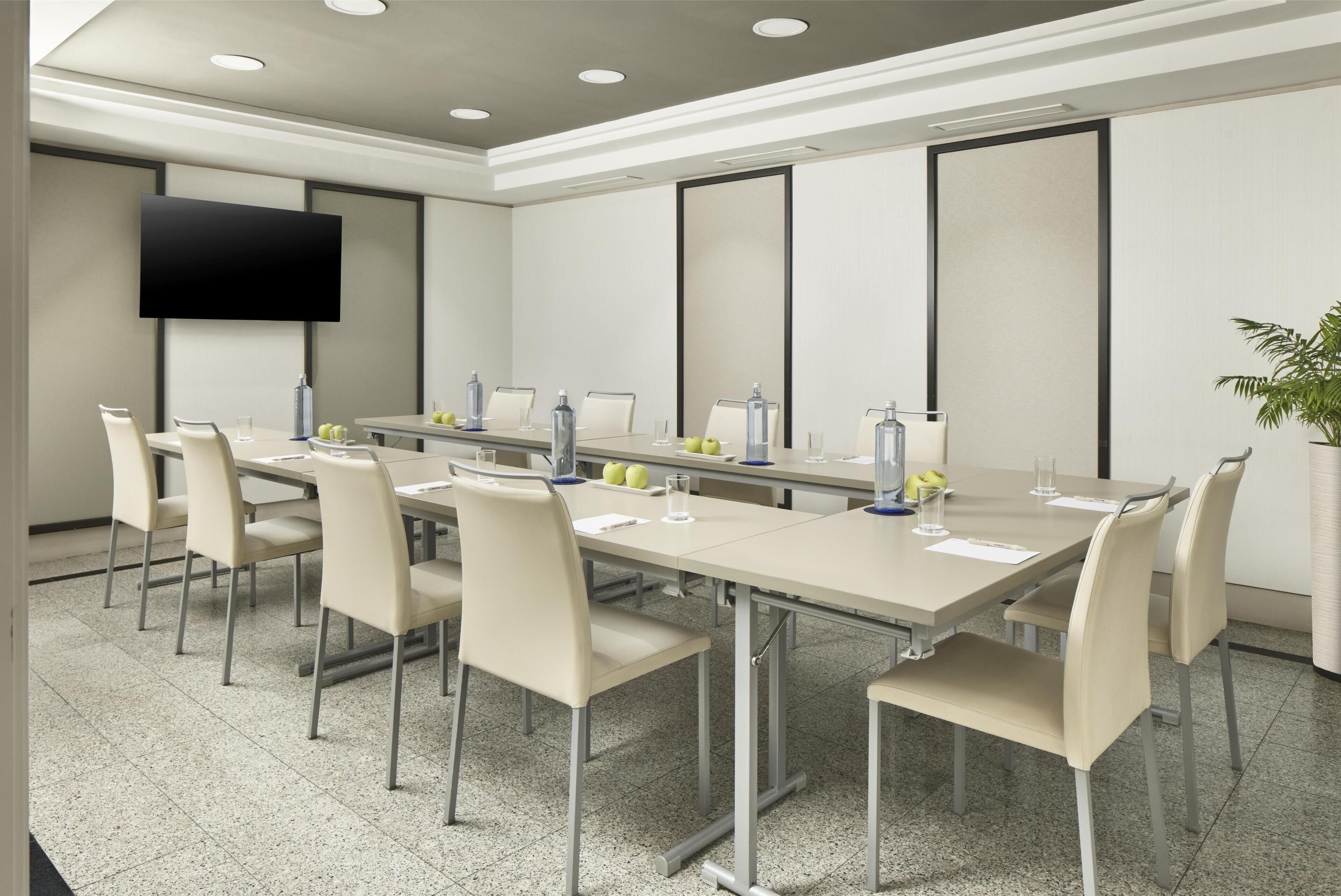 A conference room with a long table, chairs, a flat-screen TV, and a plant.