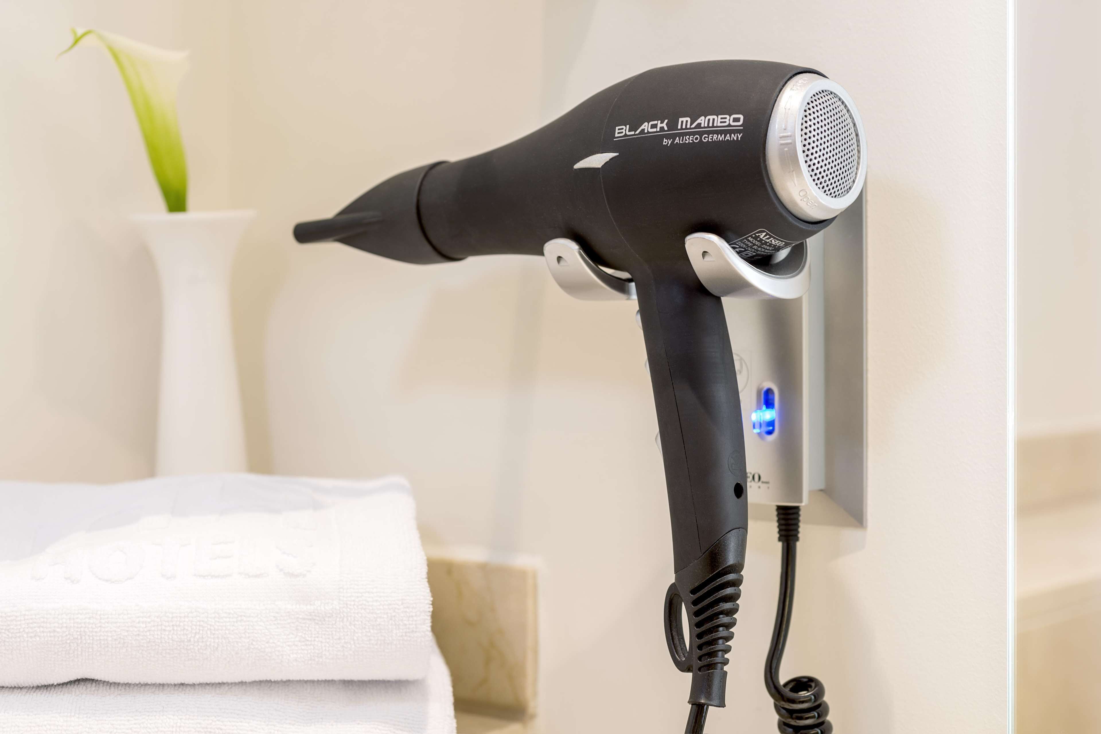 bathtub, eco-friendly toiletries, hair dryer, bidet