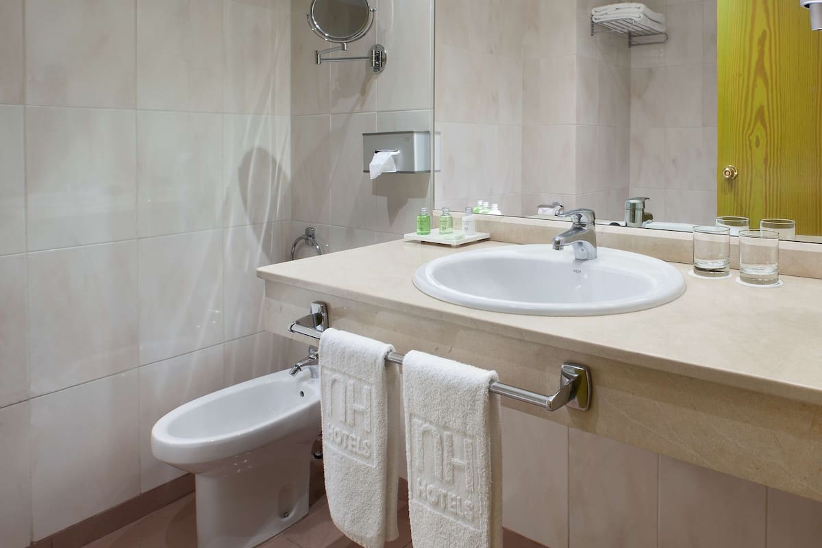 bathtub, eco-friendly toiletries, hair dryer, bidet