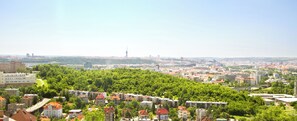 City view from property
