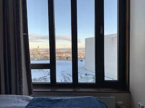 Chambre simple supérieure | Vue de la chambre