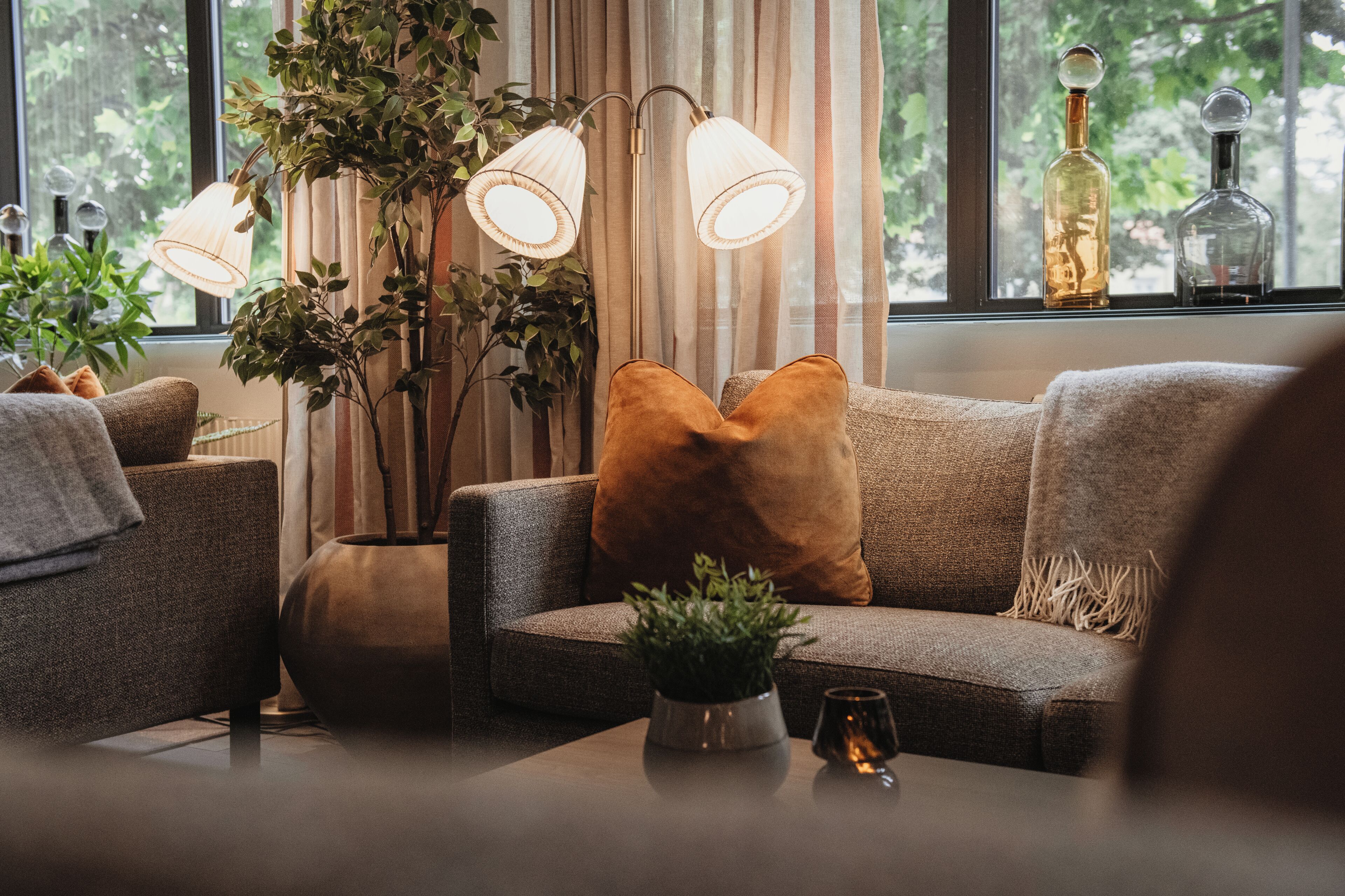 Een gezellige woonkamer met een bank, een vloerlamp en een potplant.