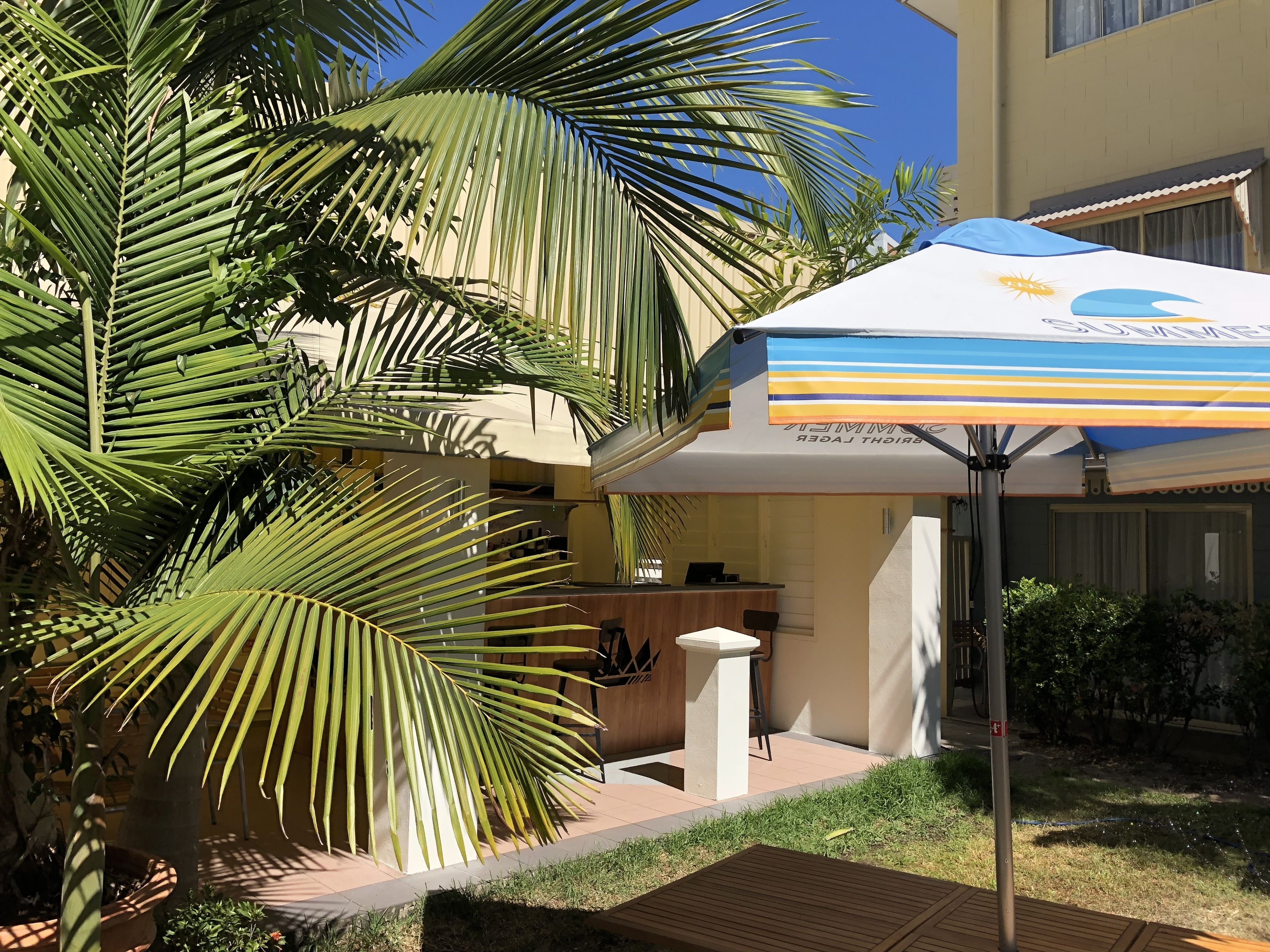 A hotel reception area with a palm tree, a reception desk, and a blue and white umbrella.