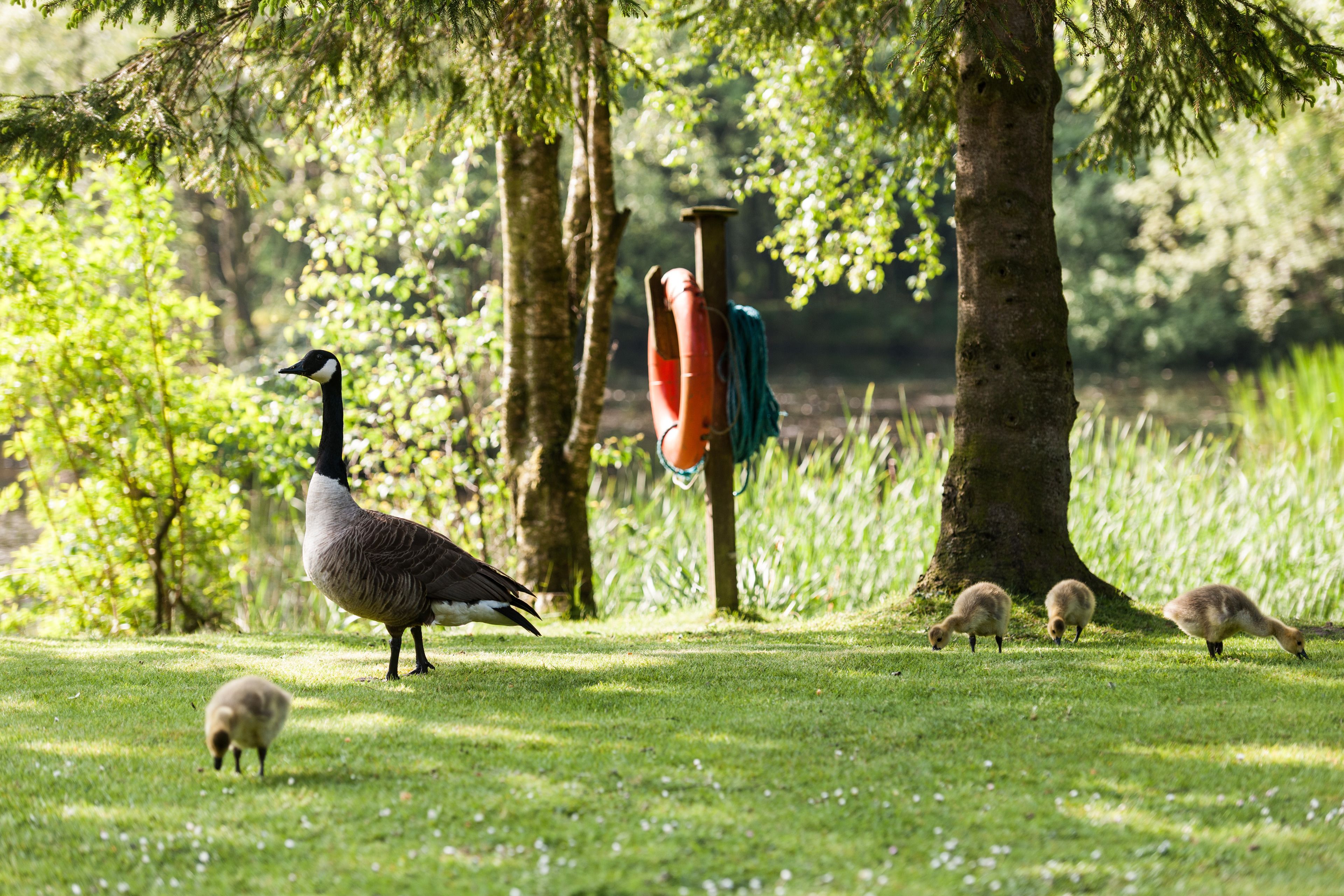 Foto - Chevin Country Park Hotel & Spa