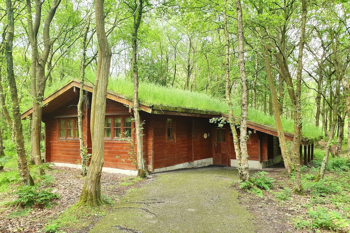 Woodland Lodge – Self Catering | 低過敏寢具、書桌、筆電工作空間、熨斗/熨衣板