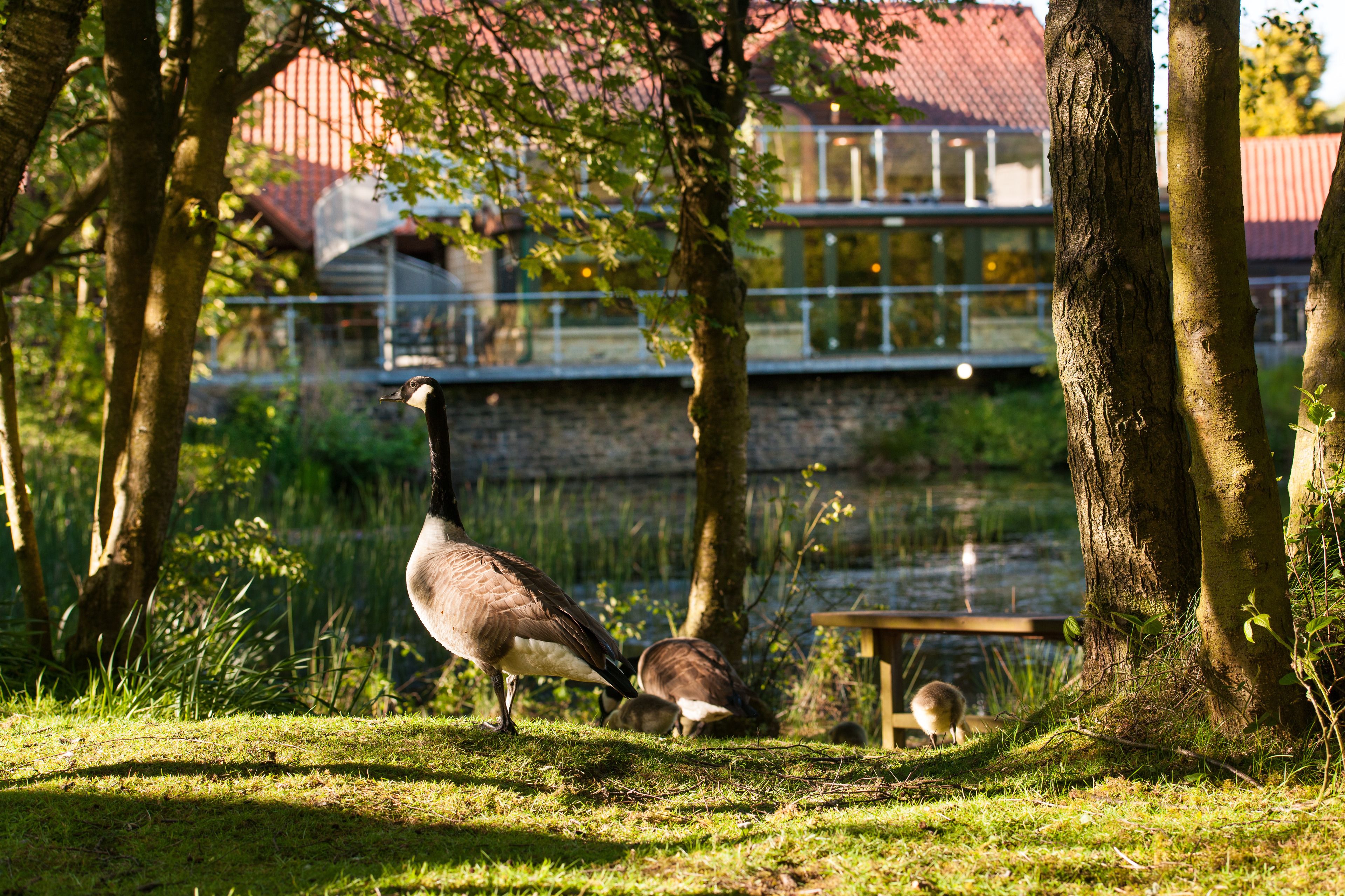 Foto - Chevin Country Park Hotel & Spa