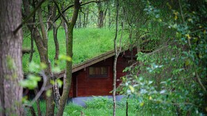 A cabin with a sloped roof covered in grass, surrounded by dense forest.