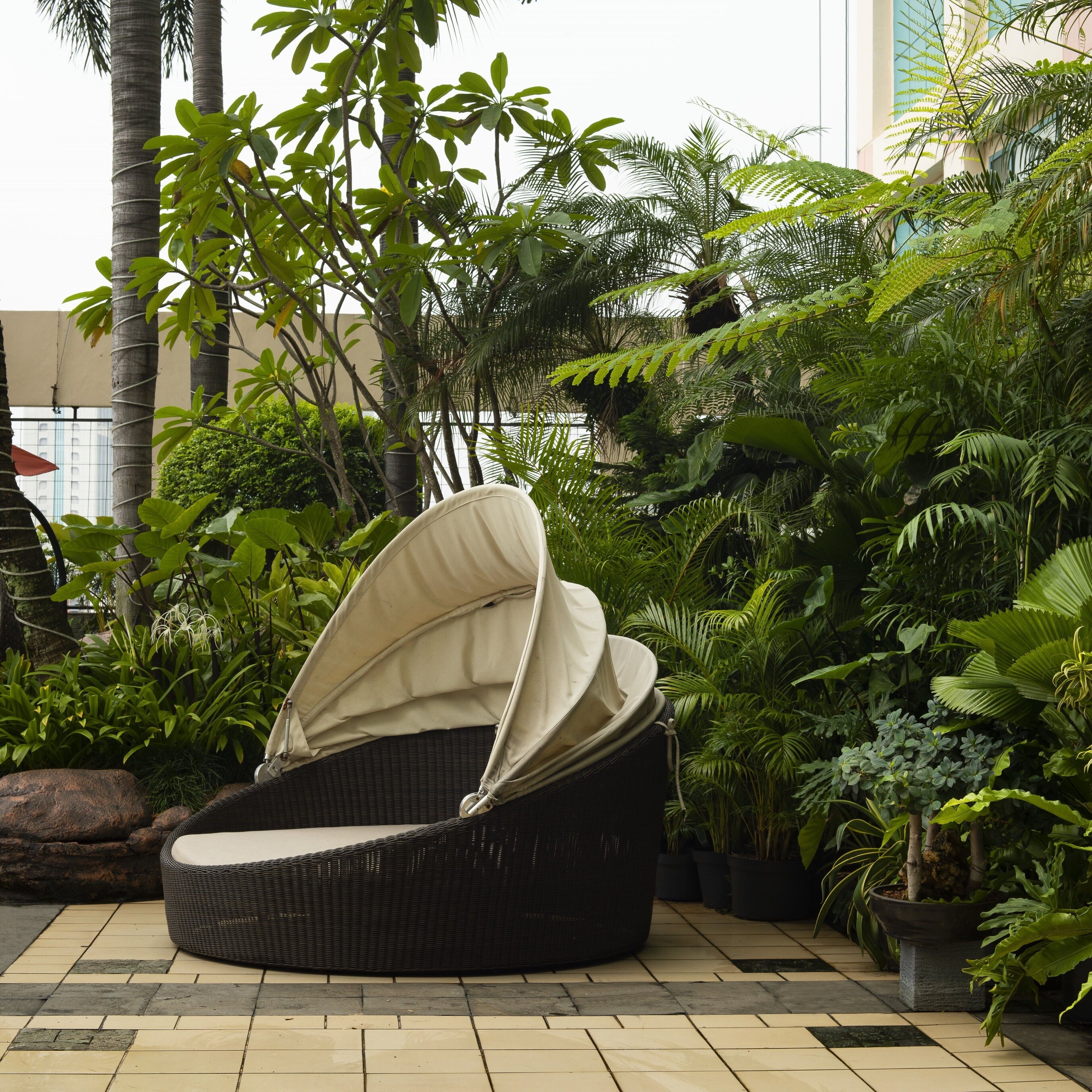 Una silla de mimbre con toldo, rodeada de exuberante vegetación tropical y un patio empedrado.