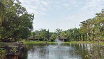 A serene pond with a fountain, surrounded by lush greenery and palm trees.