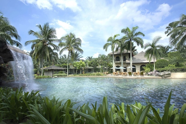 Outdoor pool, sun loungers